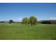 - Murrindindi Road, Murrindindi VIC 3717