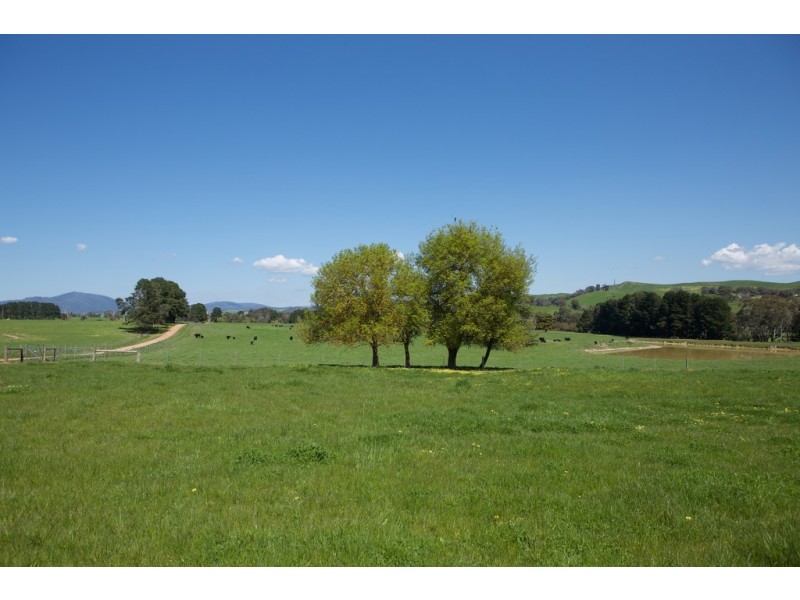 - Murrindindi Road, Murrindindi VIC 3717