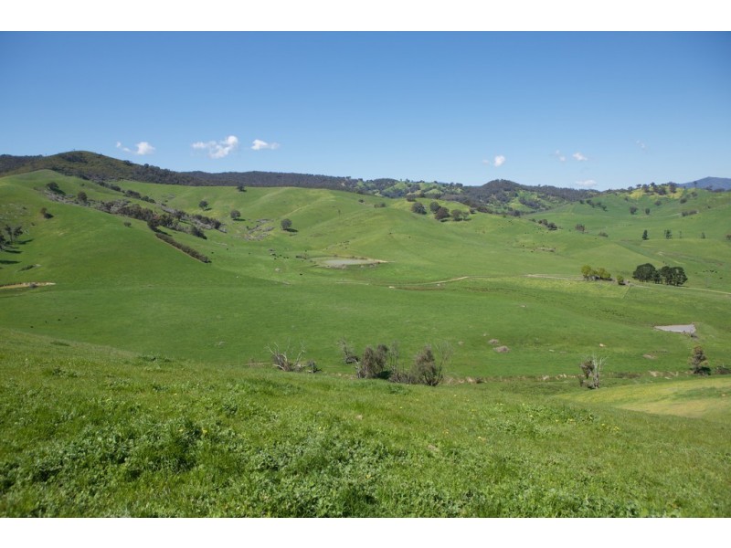 - Murrindindi Road, Murrindindi VIC 3717