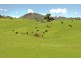 - Murrindindi Road, Murrindindi VIC 3717