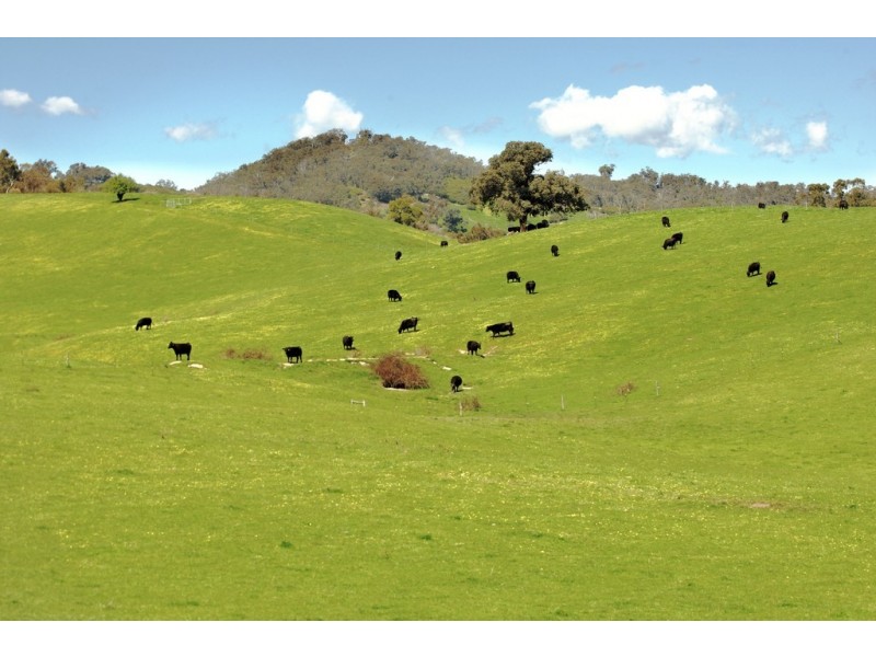 - Murrindindi Road, Murrindindi VIC 3717