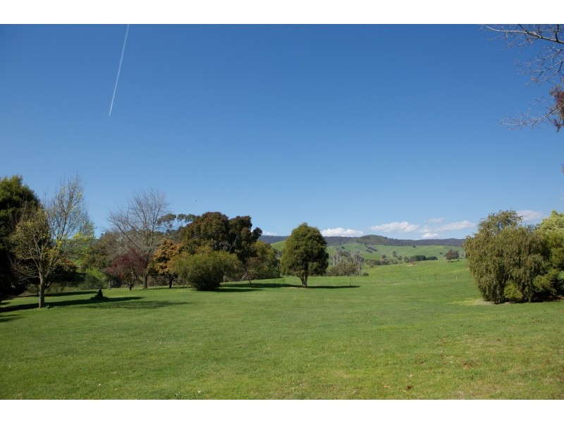 - Murrindindi Road, Murrindindi VIC 3717