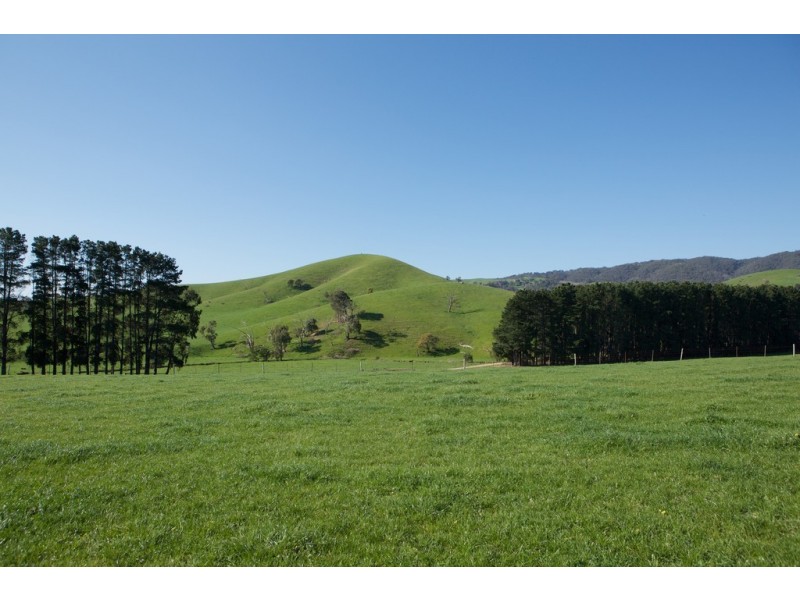 - Murrindindi Road, Murrindindi VIC 3717