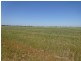 Lot 1 Murray Valley Highway, Echuca VIC 3564