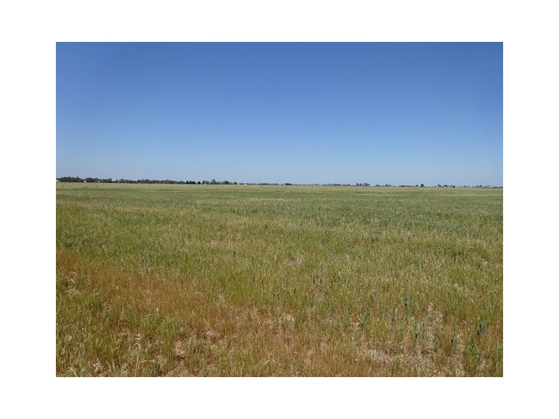Lot 1 Murray Valley Highway, Echuca VIC 3564