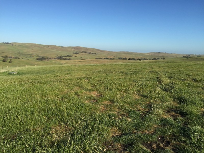 220 Corrigans Lane, Darraweit Guim VIC 3756