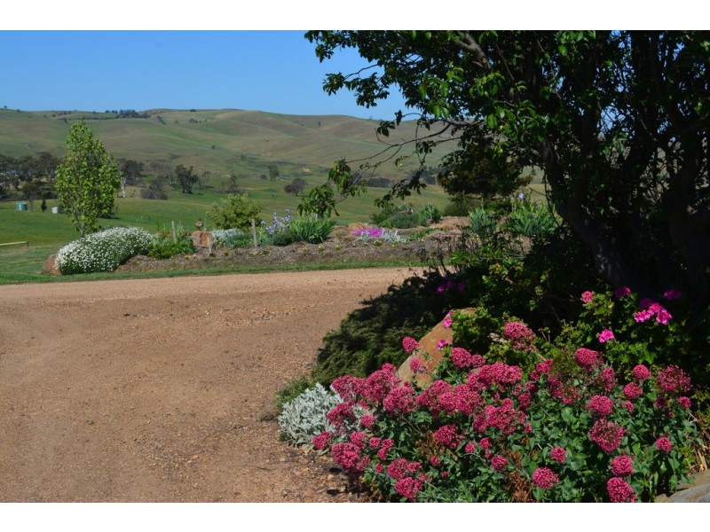 220 Corrigans Lane, Darraweit Guim VIC 3756