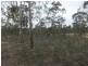 3819 SUNRAYSIA HIGHWAY, Stuart Mill VIC 3477