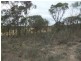 3819 SUNRAYSIA HIGHWAY, Stuart Mill VIC 3477