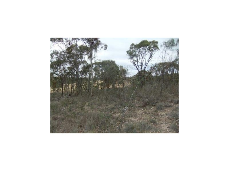 3819 SUNRAYSIA HIGHWAY, Stuart Mill VIC 3477