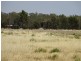 Lot 1 Pianta Road, Echuca VIC 3564
