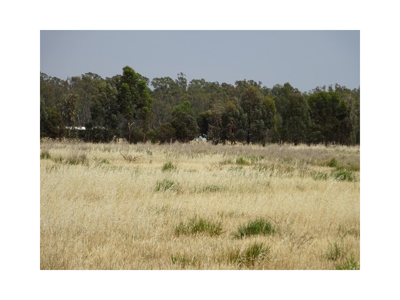 Lot 1 Pianta Road, Echuca VIC 3564