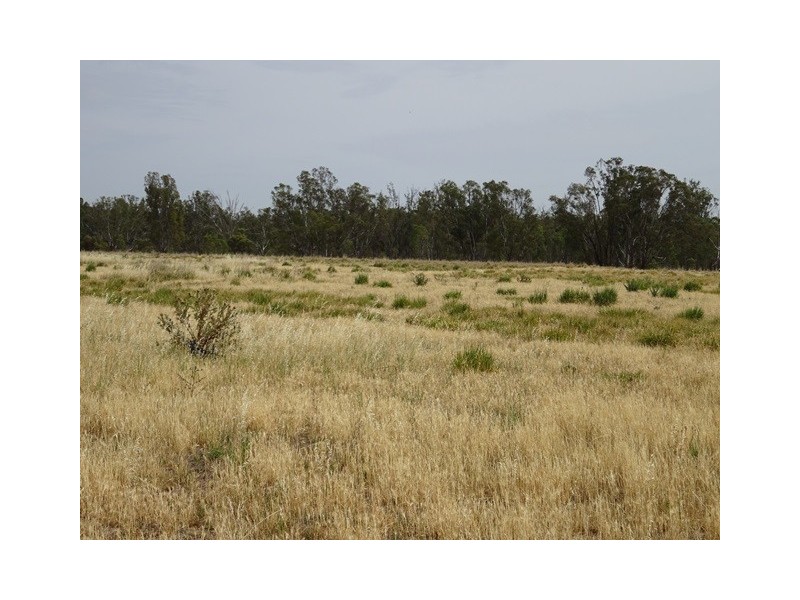 Lot 1 Pianta Road, Echuca VIC 3564