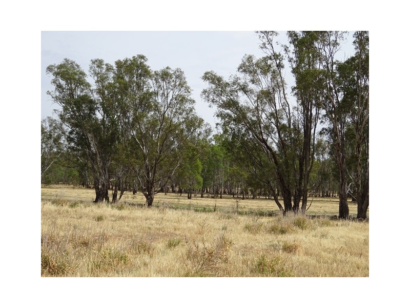 Lot 1 Pianta Road, Echuca VIC 3564