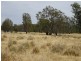 Lot 1 Pianta Road, Echuca VIC 3564