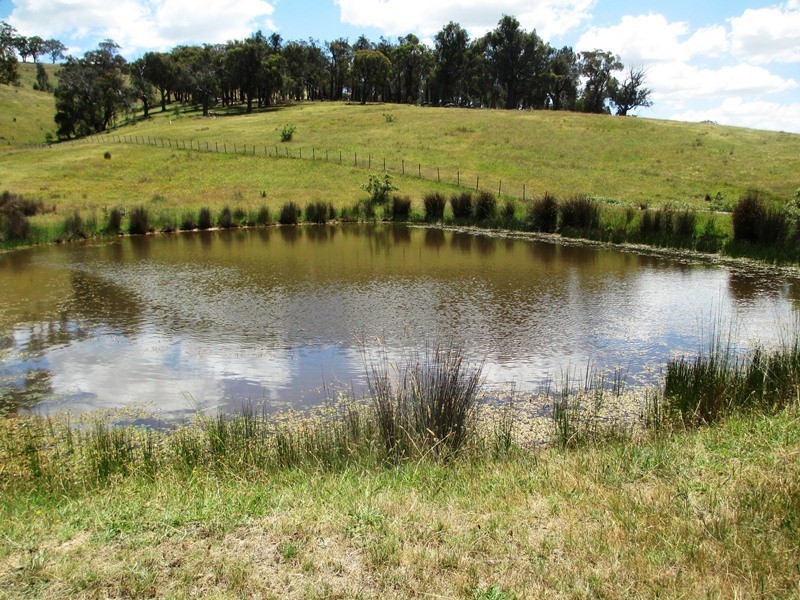 763 Middle Creek Road, Gobur VIC 3719