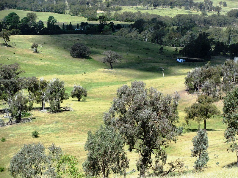 763 Middle Creek Road, Gobur VIC 3719