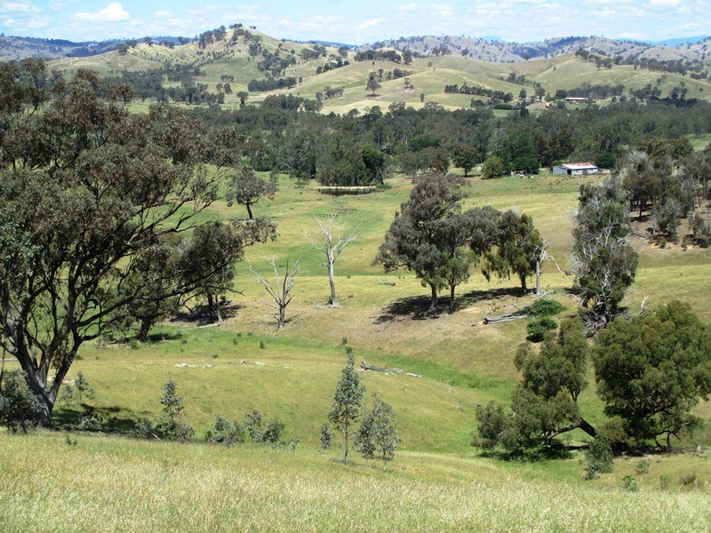 763 Middle Creek Road, Gobur VIC 3719