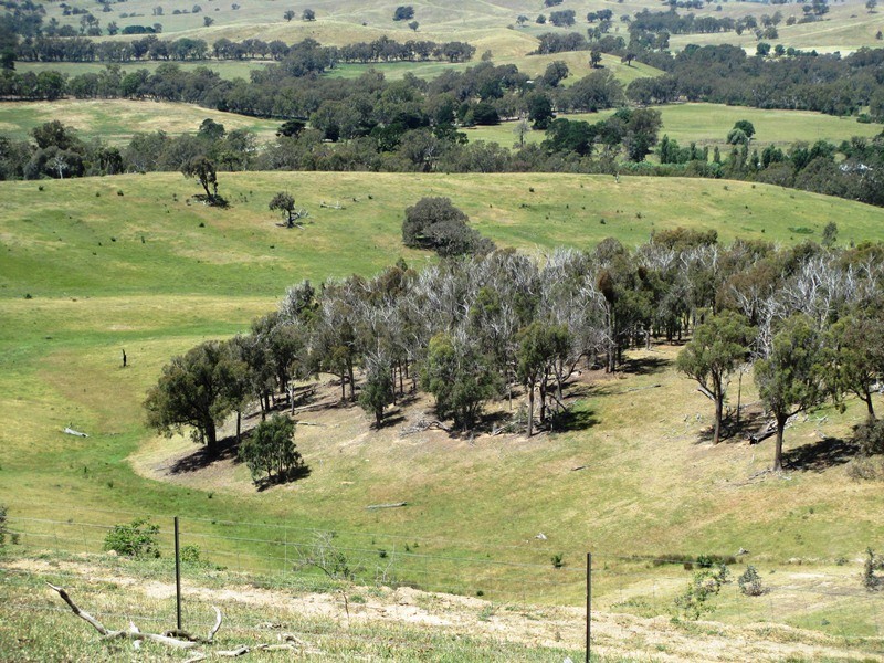 763 Middle Creek Road, Gobur VIC 3719