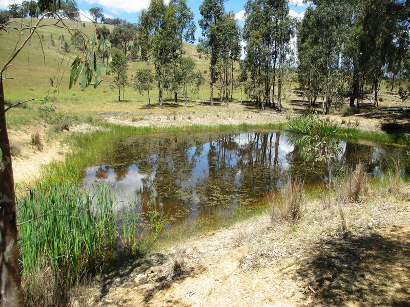 763 Middle Creek Road, Gobur VIC 3719