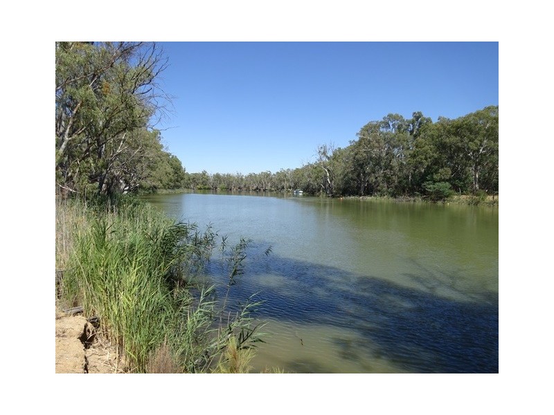 . Perricoota Forest Road, Moama NSW 2731
