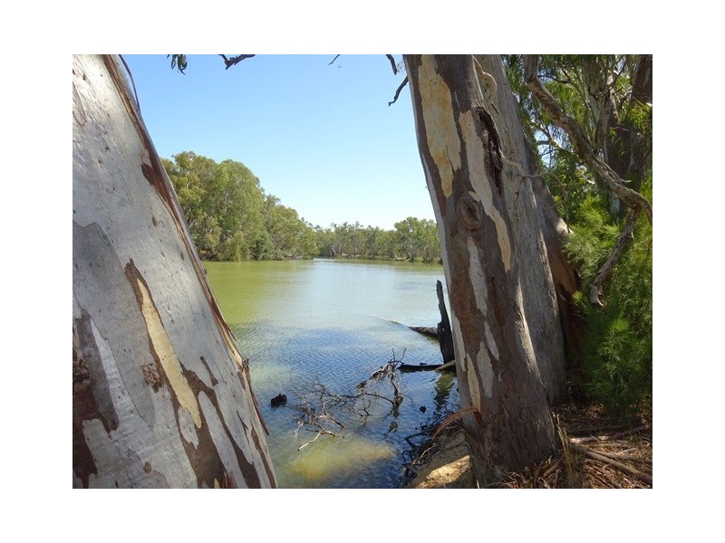 . Perricoota Forest Road, Moama NSW 2731