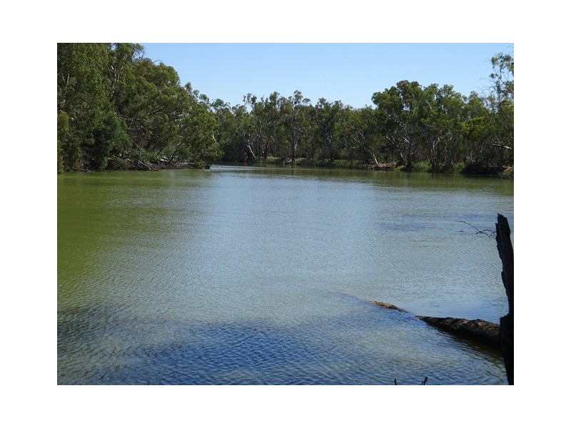 . Perricoota Forest Road, Moama NSW 2731