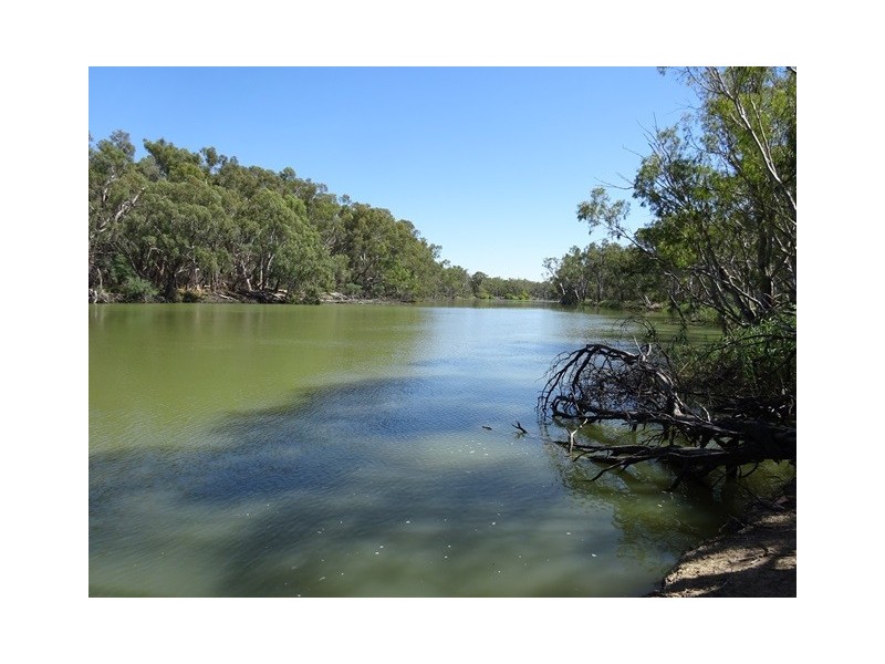 . Perricoota Forest Road, Moama NSW 2731