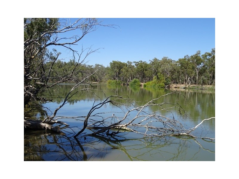 . Perricoota Forest Road, Moama NSW 2731