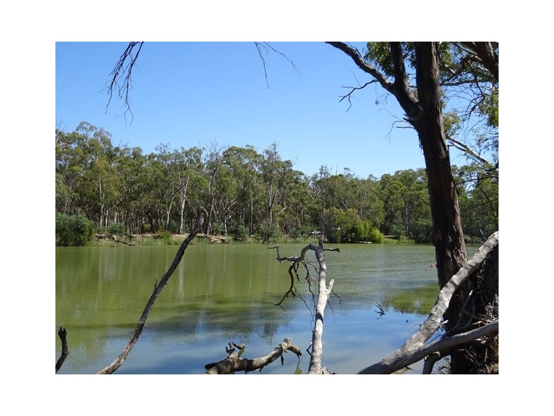 . Perricoota Forest Road, Moama NSW 2731