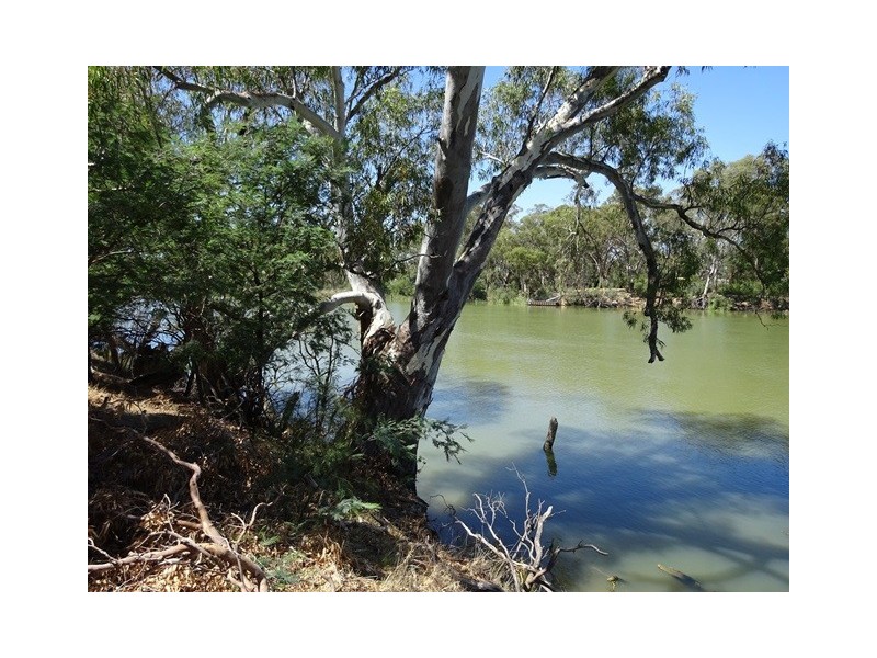 . Perricoota Forest Road, Moama NSW 2731