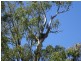 . Perricoota Forest Road, Moama NSW 2731