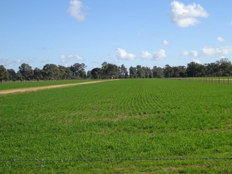 . Perricoota Forest Road, Moama NSW 2731
