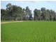 . Perricoota Forest Road, Moama NSW 2731
