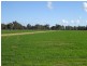 . Perricoota Forest Road, Moama NSW 2731