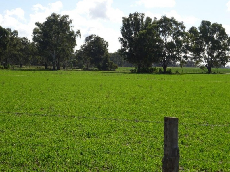. Perricoota Forest Road, Moama NSW 2731