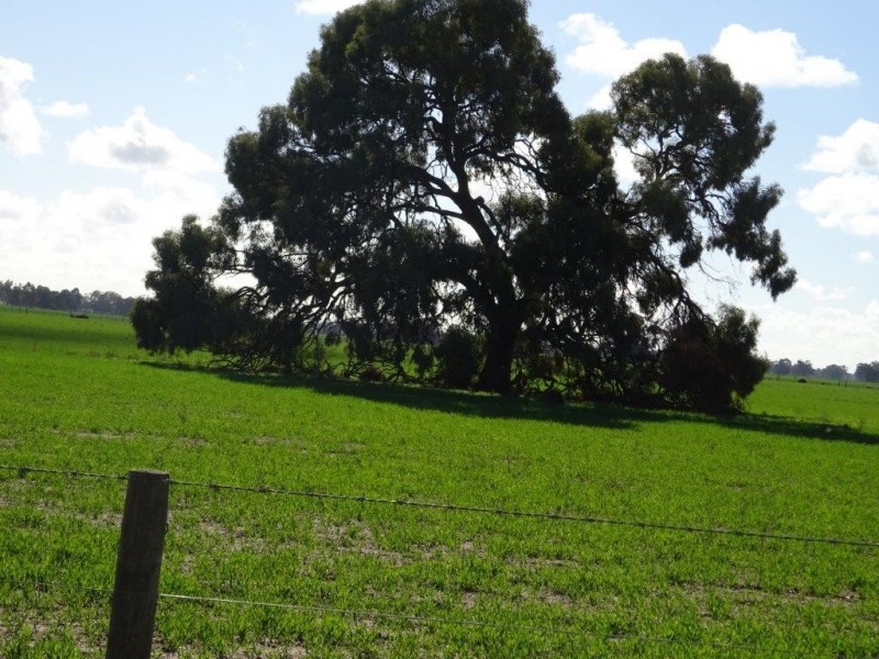 . Perricoota Forest Road, Moama NSW 2731