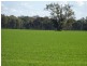 . Perricoota Forest Road, Moama NSW 2731