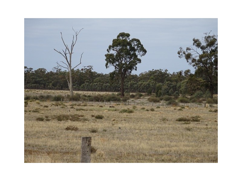 524 Cobb Highway, Moama NSW 2731