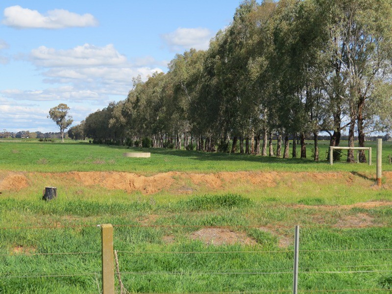 193 Allens Road, Numurkah VIC 3636