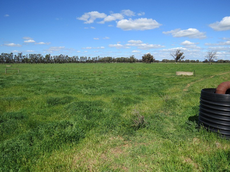 193 Allens Road, Numurkah VIC 3636