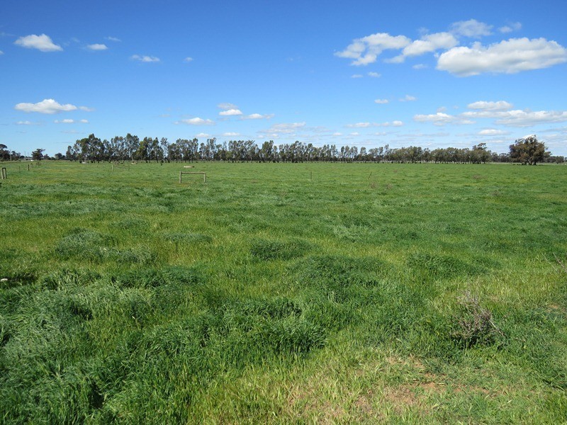 193 Allens Road, Numurkah VIC 3636