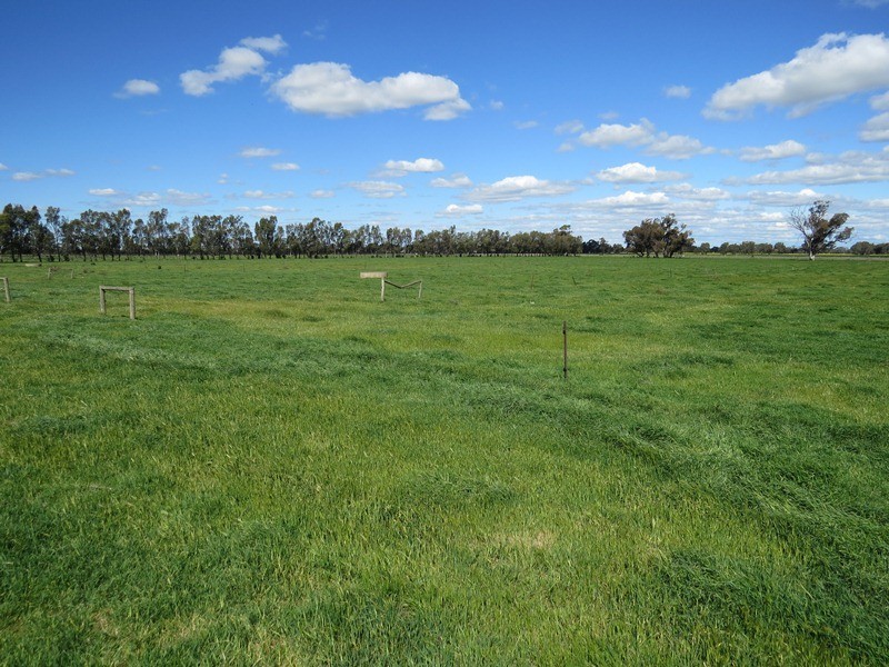 193 Allens Road, Numurkah VIC 3636