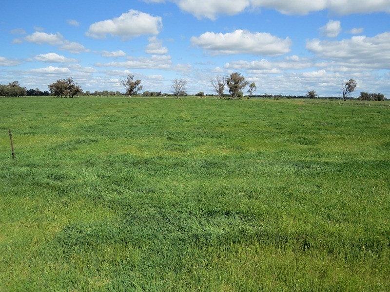 193 Allens Road, Numurkah VIC 3636