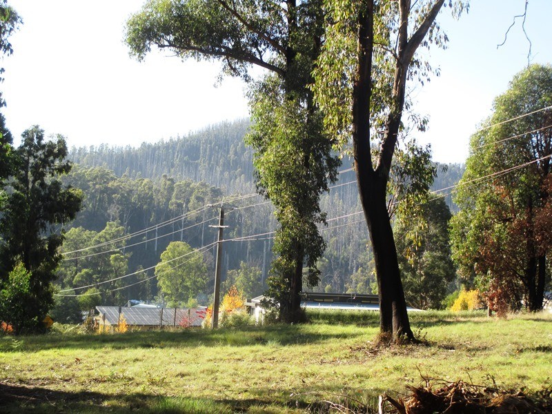 22 GOULD TERRACE, Marysville VIC 3779