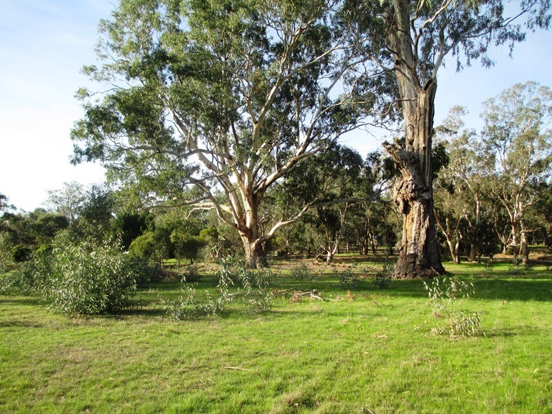 70 Halls Flat Road, Alexandra VIC 3714