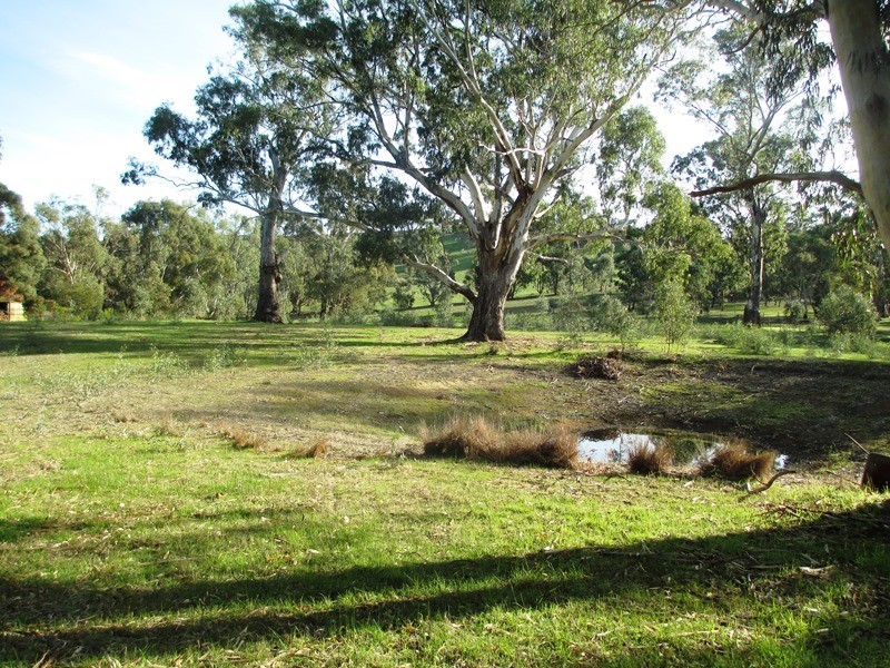 70 Halls Flat Road, Alexandra VIC 3714