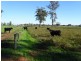 . Vise Road, Lockington VIC 3563