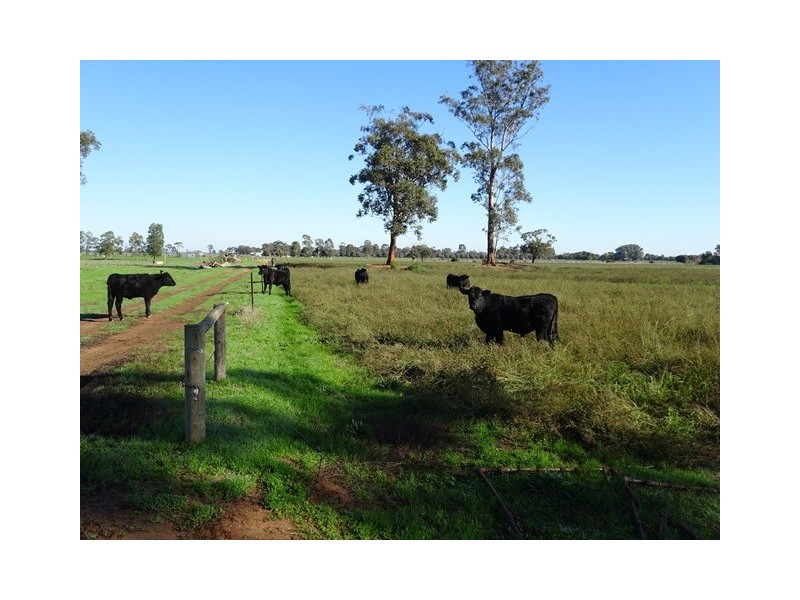 . Vise Road, Lockington VIC 3563