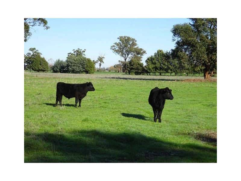 . Vise Road, Lockington VIC 3563